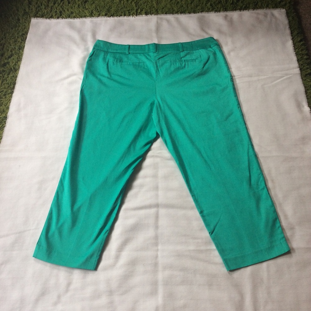 Pants - Picture 2 of 3